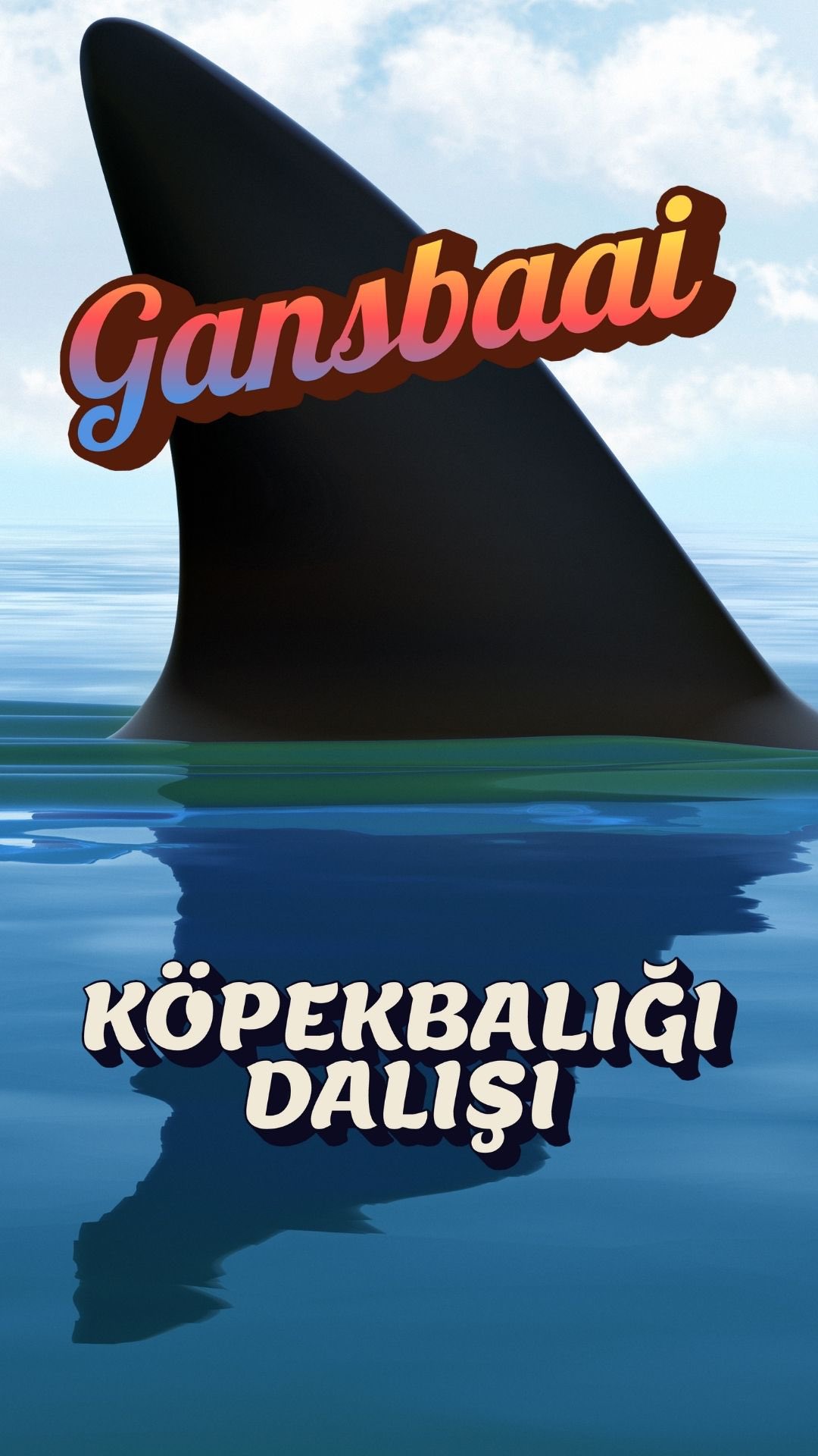 Gansbaai Köpekbalığı Dalışı